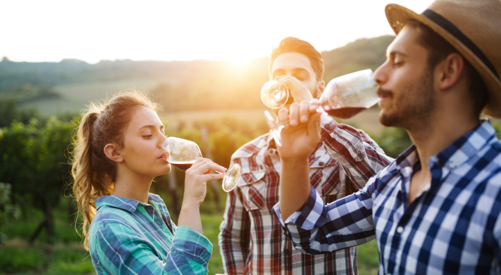friends drinking wine in the vineyard