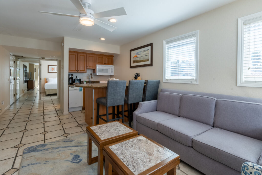 1 bedroom living room