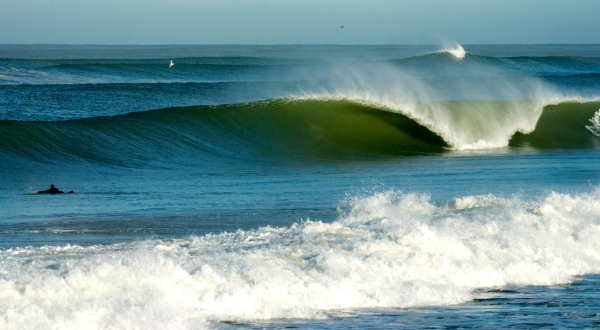 surfer and a wave